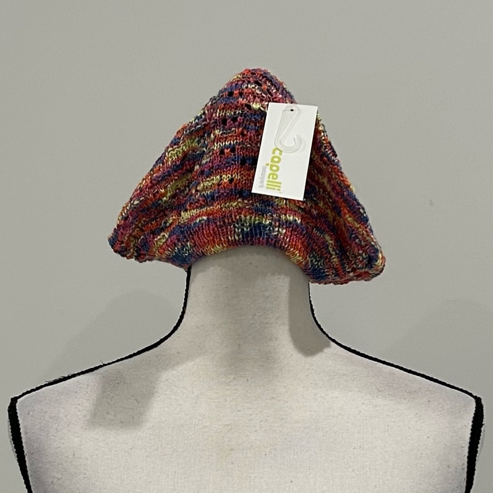 Capelli New York Multicolored Beanie
